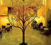 Porto Carras Grand Resort 